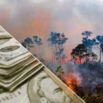 Top investment manager says climate crisis could reshape finance